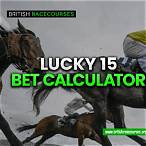 lucky fifteen bet calculator